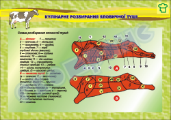 Плакат "Кулинарная разборка телячьей туши"