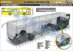 Плакат "Общая компоновка автобусов МАН" (код 4510310)
