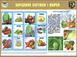 Плакат "Нарезание картофеля и овощей" код 4530602