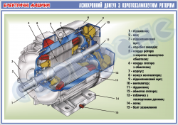 Плакат "Асинхронний двигун з короткозамкнутим ротором"  4600128