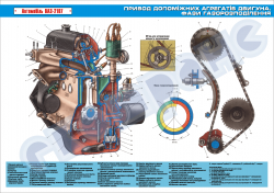 Плакат «Привод допоміжних агрегатів двигуна.Фази газорозподілення»