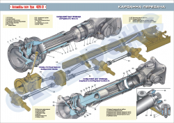 Плакат "Карданна передача"
